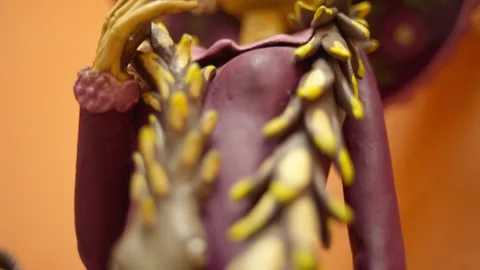 Handmade Catrina Sculpture with Moth Decorations Stock Footage 341179102