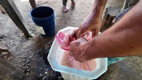 Handmade Cheese Curd Straining in a Traditional Farm Process Stock Footage 316726819