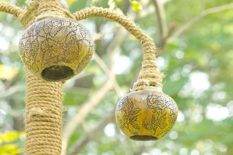 Handmade coconut shell. Stock Photos