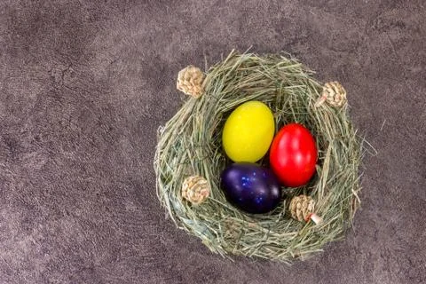 Handmade colorfull Easter eggs in selfmade grass nest on dark background Stock Photos