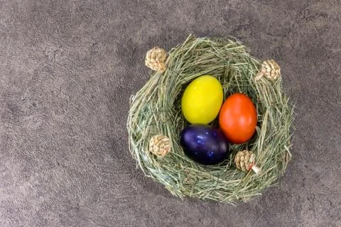 Handmade colorfull Easter eggs in selfmade grass nest on dark background Stock Photos