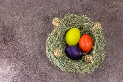 Handmade colorfull Easter eggs in selfmade grass nest on dark background Stock Photos