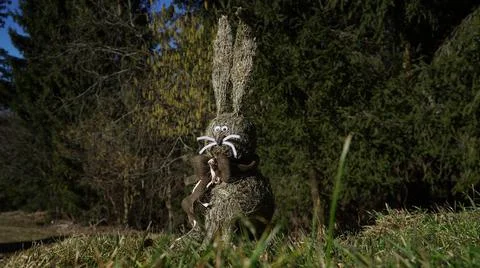 Handmade cute Easterbunny in green grass - forest in background Stock Photos