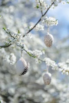 Handmade Easter Decorations on Flowering Branch Stock-Fotos