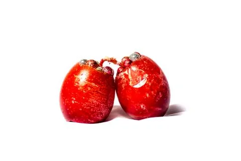 Handmade egg shaped easter candles Stock Photos