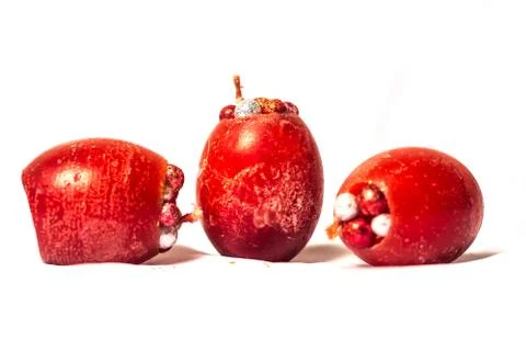 Handmade egg shaped easter candles Stock Photos