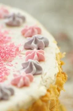Handmade filbert cake Stock Photos