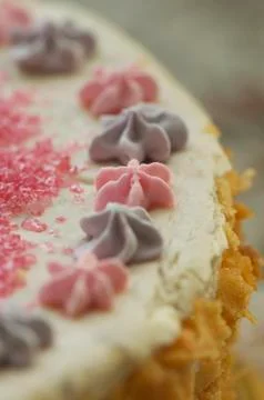 Handmade filbert cake Stock Photos