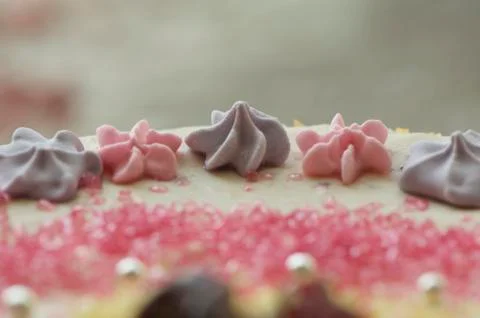 Handmade filbert cake Stock Photos