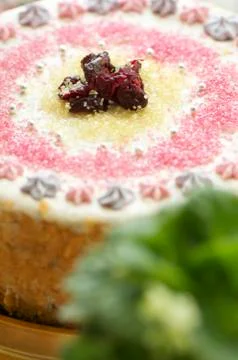 Handmade filbert cake Stock Photos