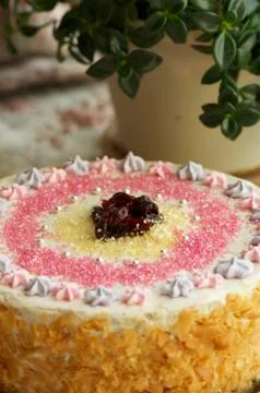 Handmade filbert cake Stock Photos