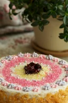 Handmade filbert cake Stock Photos