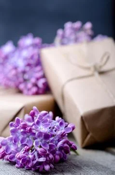 Handmade gift boxes wrapped with craft brown paper, decorated with fresh purp Stock Photos
