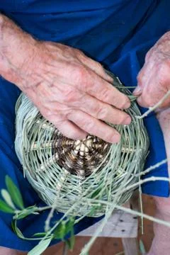 Handmade hands while making a wicker basket Stock Photos