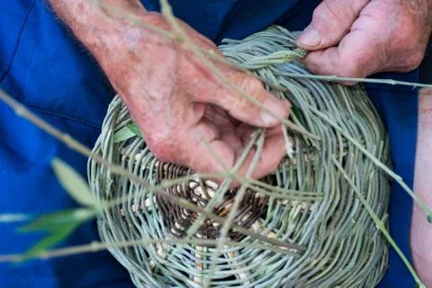 Handmade hands while making a wicker basket Stock Photos