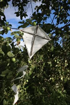A handmade kite Stock Photos