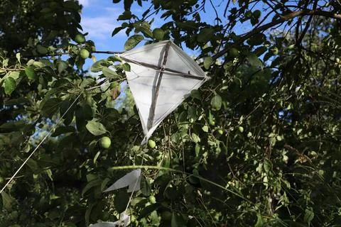 A handmade kite 스톡 사진