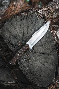 Handmade Knife with Textured Handle on a Tree Stump Photos
