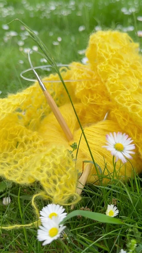 Handmade knitting project among wild daisies Видео 335868285