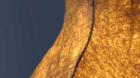 Handmade lamp shell, close up turning on and off, stockvideo Stock Footage 86769626