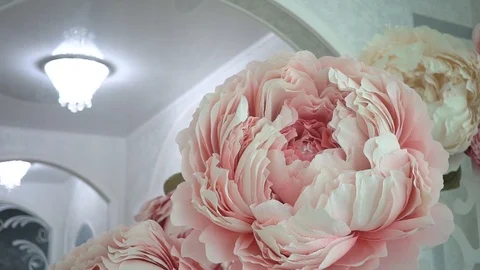 Handmade large flowers Stock Footage 99244089