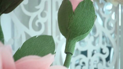 Handmade large flowers Stock Footage 99244103