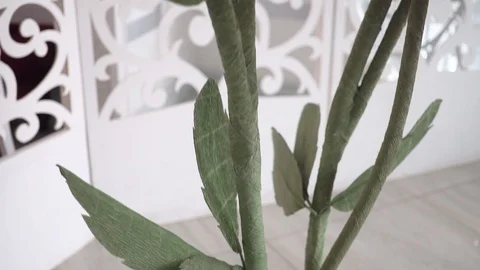 Handmade large flowers Stock Footage 99244157