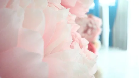Handmade large flowers Stock Footage 99244169