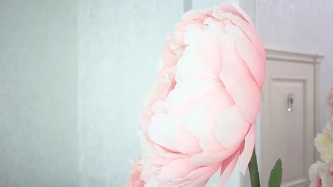 Handmade large flowers Stock Footage 99244237