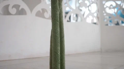 Handmade large flowers Stock Footage 99244313