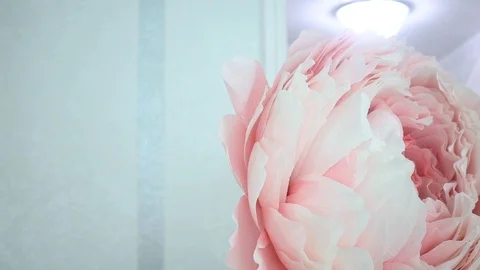 Handmade large flowers Stock Footage 99244330