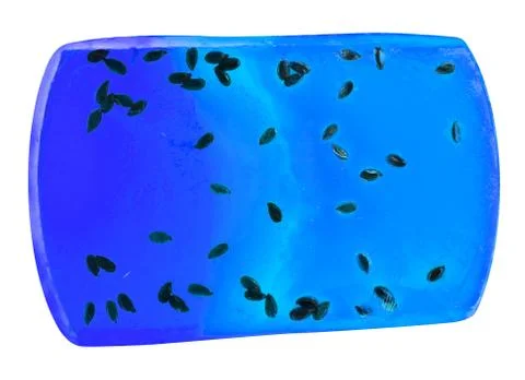 Handmade natural blue solid soap with exotic plants seeds, isolated on white  Stock Photos