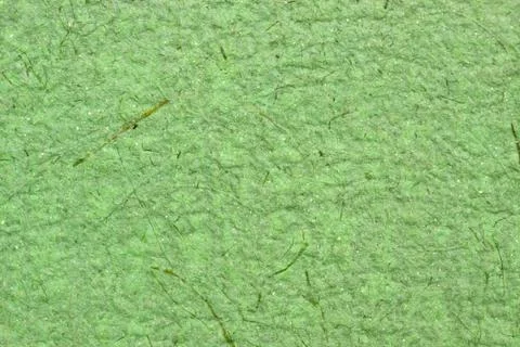 Handmade  paper Stock Photos