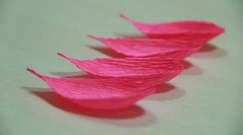 Handmade - paper rose leafs Stock Footage 49761420