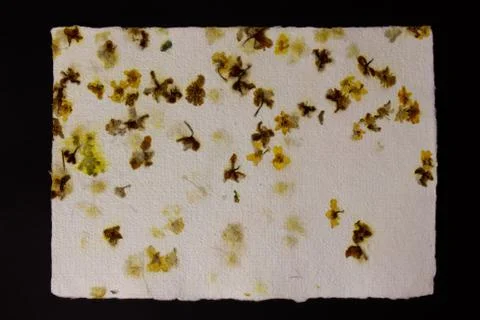 Handmade paper texture Stock Photos