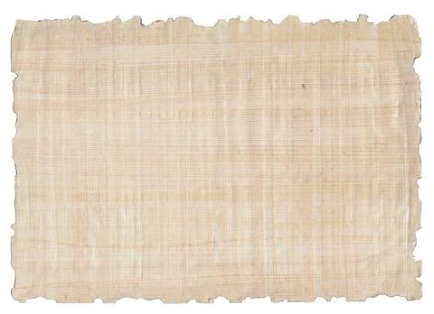 Handmade papyrus paper  Stock Photos
