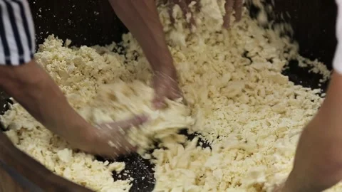 Handmade process production mozzarella cheese making manually cheese factory Stock Footage 170151201