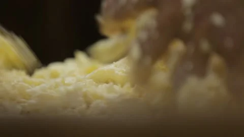 Handmade process production mozzarella cheese making manually cheese factory Stock Footage 170531725