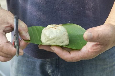 Handmade, pruning, scissors, grass cake, plantain leaves Stock Photos