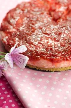 Handmade pulm cake Stock Photos