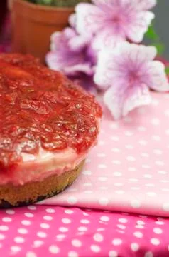 Handmade pulm cake Stock Photos