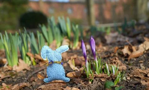 Handmade rabbit between spring flowers Stock Photos