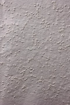 Handmade rice paper texture Stock Photos