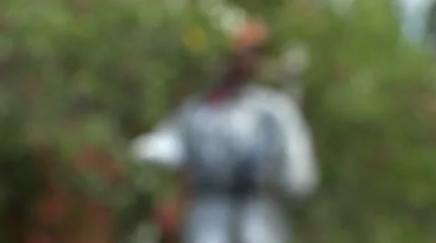 Handmade scarecrow in cherry tree, 4K Stock Footage 59081476