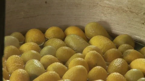 Handmade silk Stock Footage 582573