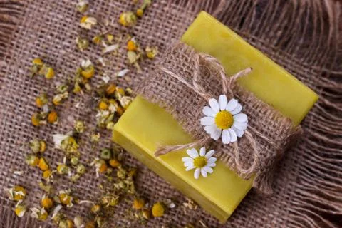 Handmade soap with chamomile Stock Photos