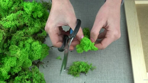 Handmade with stabilized moss. 스톡 동영상 172026064