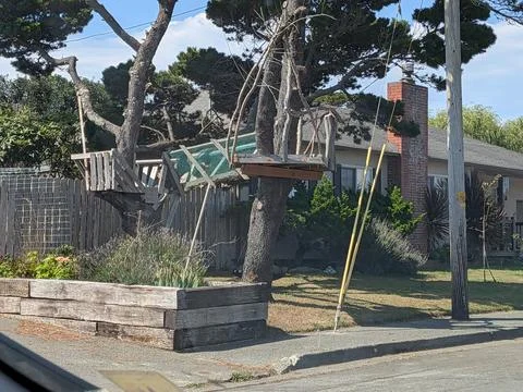 A handmade tree structure built between two trees with railings Stock-Fotos