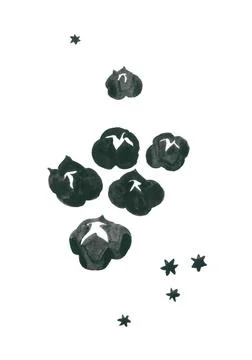 Handmade watercolor pattern of roasted chestnuts or popcorn and holiday stars Stock Illustration