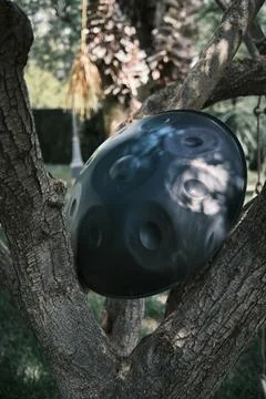 The handpan by the tree Stock Photos